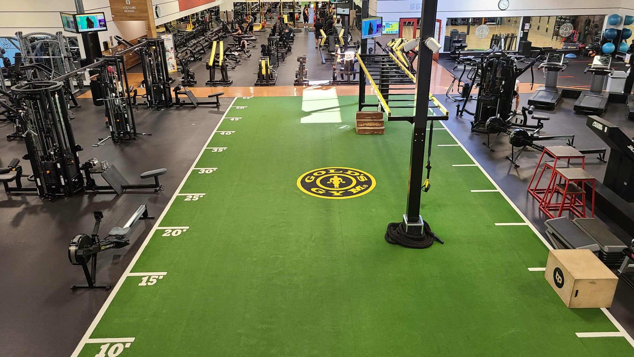 Gold's Gym member training